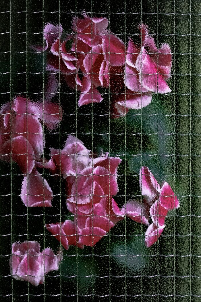 My 11 Photos Capturing The Essence Of Stillness My 11 Photos Capturing The Essence Of Stillness