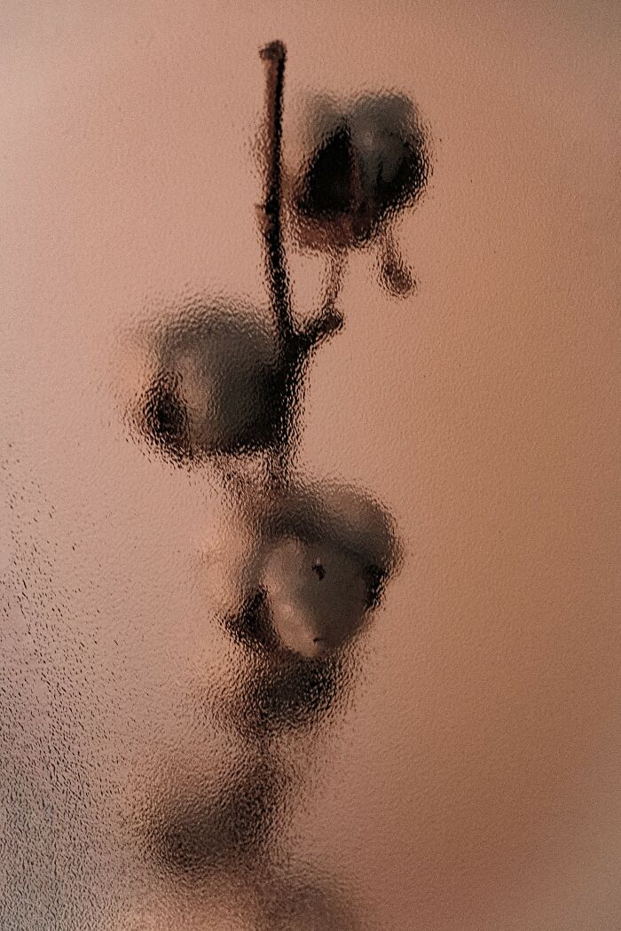 My 11 Photos Capturing The Essence Of Stillness My 11 Photos Capturing The Essence Of Stillness