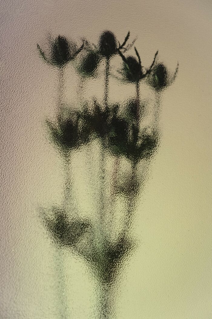 My 11 Photos Capturing The Essence Of Stillness My 11 Photos Capturing The Essence Of Stillness