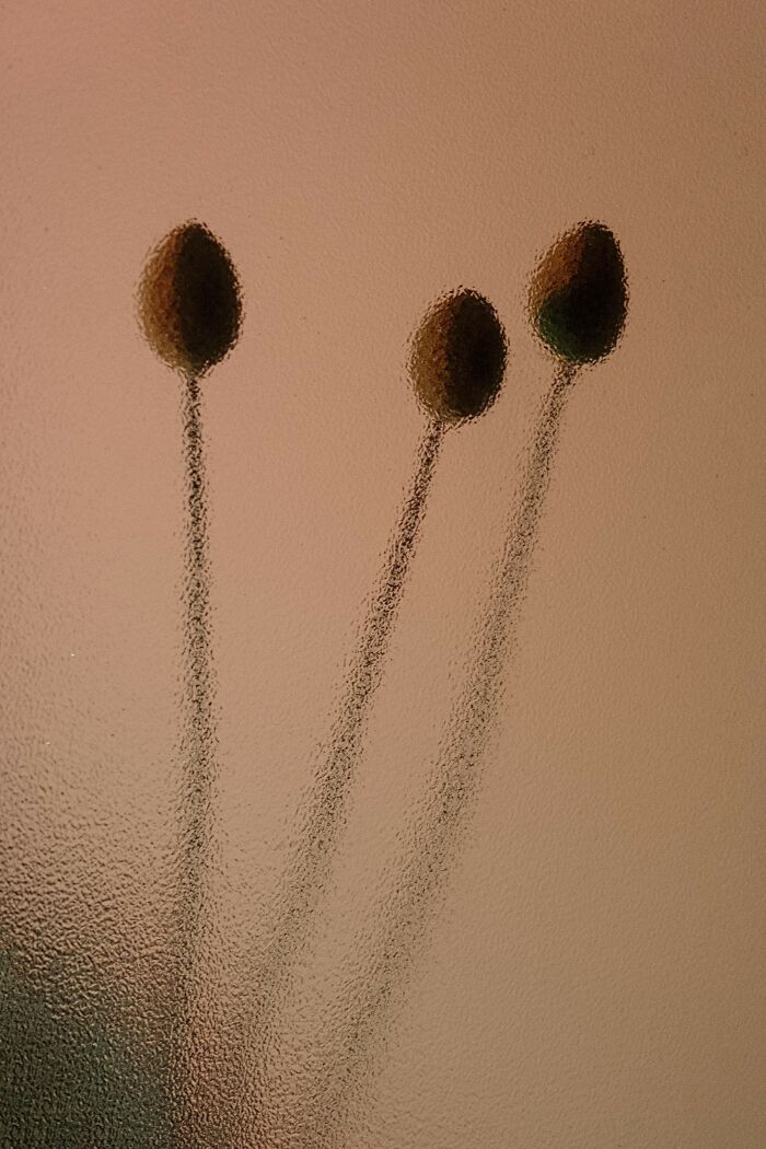 My 11 Photos Capturing The Essence Of Stillness My 11 Photos Capturing The Essence Of Stillness