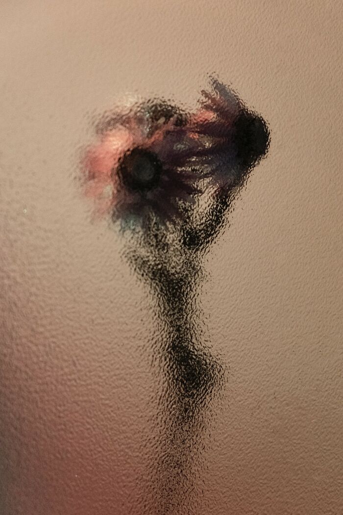 My 11 Photos Capturing The Essence Of Stillness My 11 Photos Capturing The Essence Of Stillness