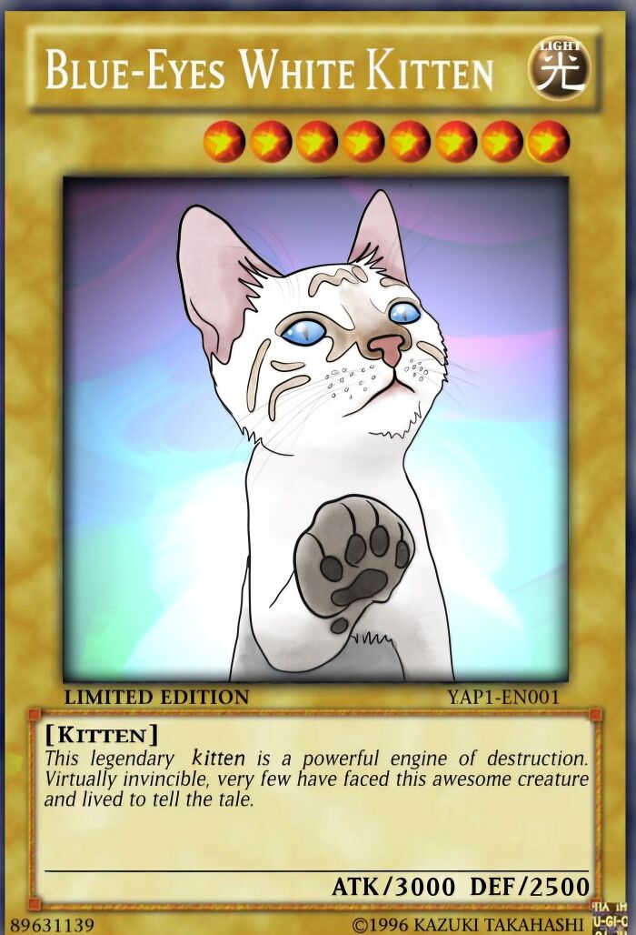 I Created Images Of My Cat Paired With Quotes From Fear And Loathing (12 Pics) I Created Images Of My Cat Paired With Quotes From Fear And Loathing (12 Pics)