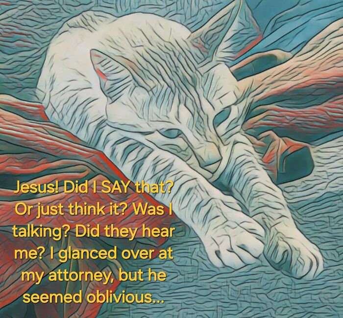 I Created Images Of My Cat Paired With Quotes From Fear And Loathing (12 Pics) I Created Images Of My Cat Paired With Quotes From Fear And Loathing (12 Pics)