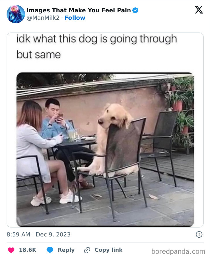 50 Painful Pics That Will Probably Make You Say “Okay, Enough Internet For Me For Today” 50 Painful Pics That Will Probably Make You Say “Okay, Enough Internet For Me For Today”