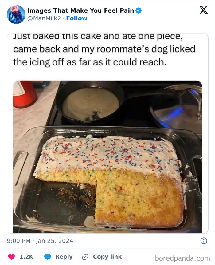 50 Painful Pics That Will Probably Make You Say “Okay, Enough Internet For Me For Today” 50 Painful Pics That Will Probably Make You Say “Okay, Enough Internet For Me For Today”