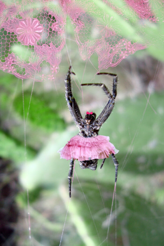 Designers Were Challenged To Dress-Up Animals In Human Clothing, Here Is How It Went (30 Pics) Designers Were Challenged To Dress-Up Animals In Human Clothing, Here Is How It Went (30 Pics)