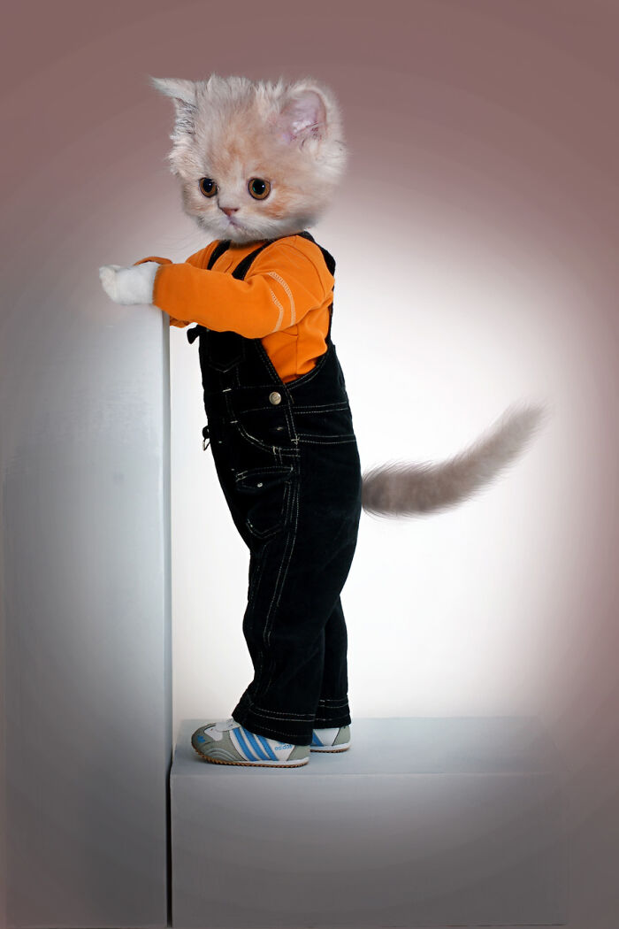 Designers Were Challenged To Dress-Up Animals In Human Clothing, Here Is How It Went (30 Pics) Designers Were Challenged To Dress-Up Animals In Human Clothing, Here Is How It Went (30 Pics)