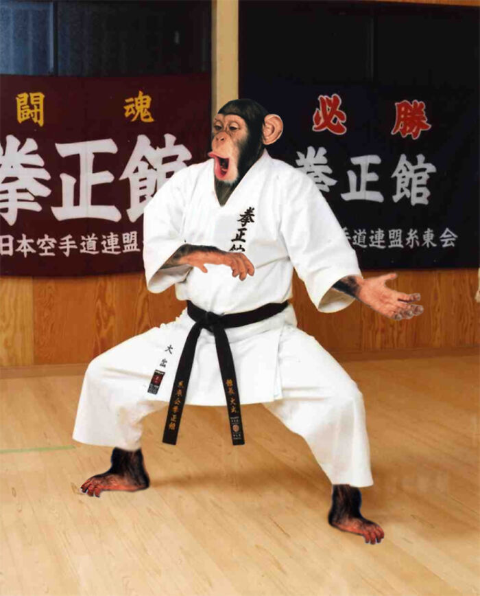 Designers Were Challenged To Dress-Up Animals In Human Clothing, Here Is How It Went (30 Pics) Designers Were Challenged To Dress-Up Animals In Human Clothing, Here Is How It Went (30 Pics)