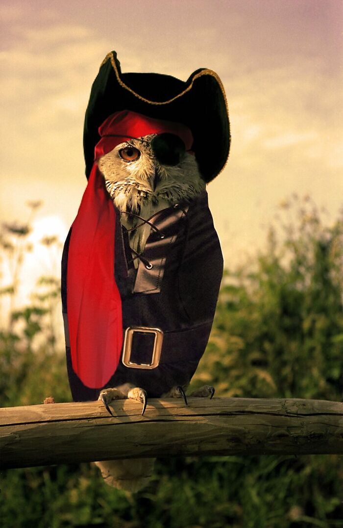 Designers Were Challenged To Dress-Up Animals In Human Clothing, Here Is How It Went (30 Pics) Designers Were Challenged To Dress-Up Animals In Human Clothing, Here Is How It Went (30 Pics)