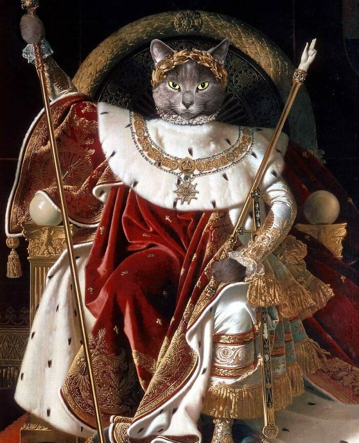 Designers Were Challenged To Dress-Up Animals In Human Clothing, Here Is How It Went (30 Pics) Designers Were Challenged To Dress-Up Animals In Human Clothing, Here Is How It Went (30 Pics)