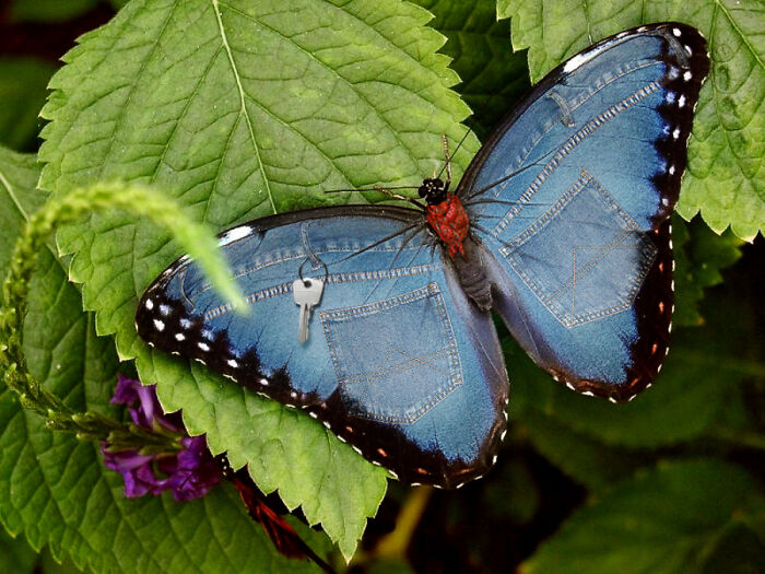 Designers Were Challenged To Dress-Up Animals In Human Clothing, Here Is How It Went (30 Pics) Designers Were Challenged To Dress-Up Animals In Human Clothing, Here Is How It Went (30 Pics)