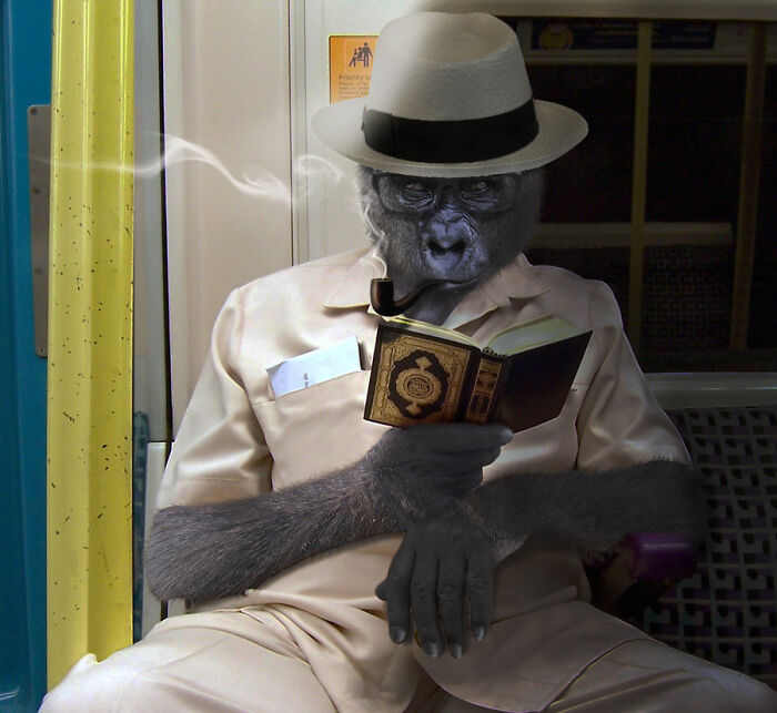 Designers Were Challenged To Dress-Up Animals In Human Clothing, Here Is How It Went (30 Pics) Designers Were Challenged To Dress-Up Animals In Human Clothing, Here Is How It Went (30 Pics)