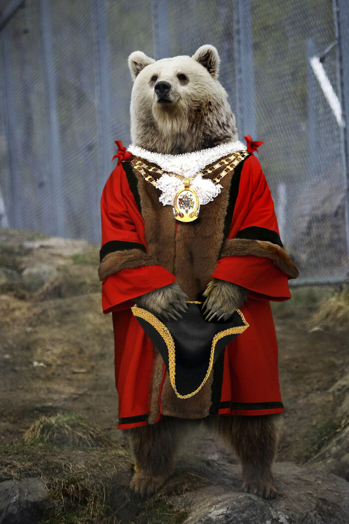 Designers Were Challenged To Dress-Up Animals In Human Clothing, Here Is How It Went (30 Pics) Designers Were Challenged To Dress-Up Animals In Human Clothing, Here Is How It Went (30 Pics)