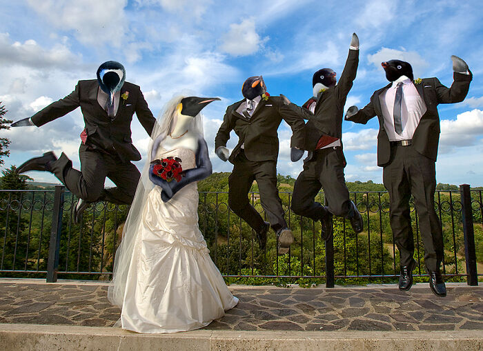 Designers Were Challenged To Dress-Up Animals In Human Clothing, Here Is How It Went (30 Pics) Designers Were Challenged To Dress-Up Animals In Human Clothing, Here Is How It Went (30 Pics)