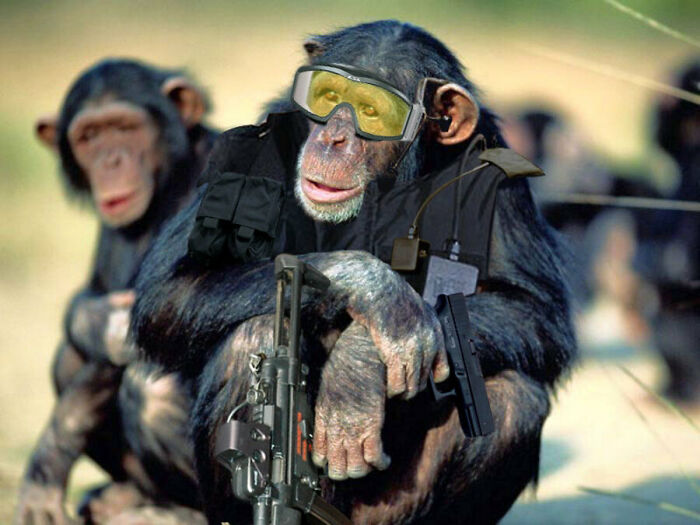 Designers Were Challenged To Dress-Up Animals In Human Clothing, Here Is How It Went (30 Pics) Designers Were Challenged To Dress-Up Animals In Human Clothing, Here Is How It Went (30 Pics)