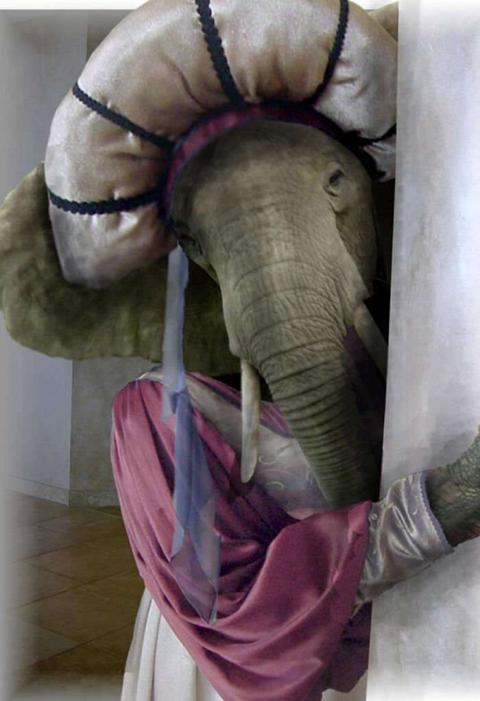 Designers Were Challenged To Dress-Up Animals In Human Clothing, Here Is How It Went (30 Pics) Designers Were Challenged To Dress-Up Animals In Human Clothing, Here Is How It Went (30 Pics)