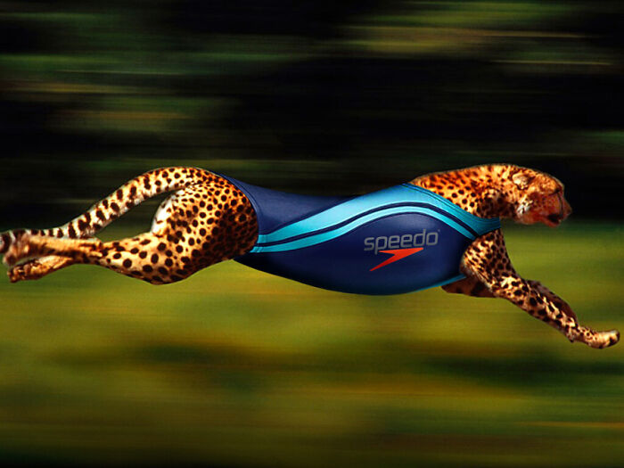 Designers Were Challenged To Dress-Up Animals In Human Clothing, Here Is How It Went (30 Pics) Designers Were Challenged To Dress-Up Animals In Human Clothing, Here Is How It Went (30 Pics)