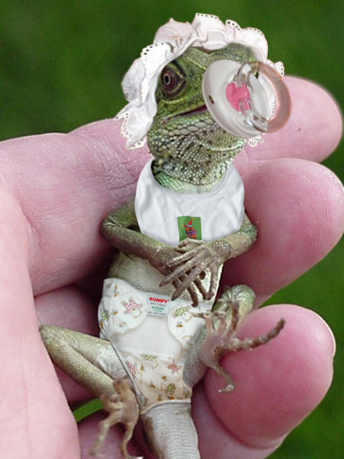 Designers Were Challenged To Dress-Up Animals In Human Clothing, Here Is How It Went (30 Pics) Designers Were Challenged To Dress-Up Animals In Human Clothing, Here Is How It Went (30 Pics)