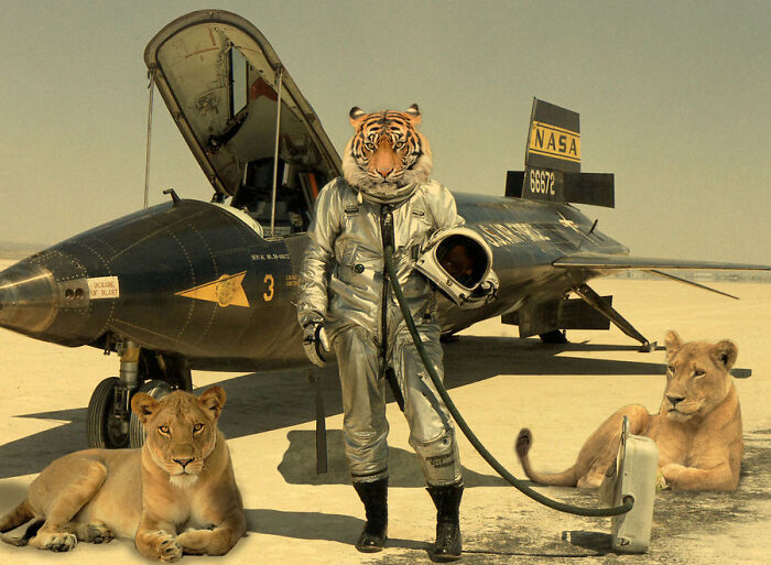 Designers Were Challenged To Dress-Up Animals In Human Clothing, Here Is How It Went (30 Pics) Designers Were Challenged To Dress-Up Animals In Human Clothing, Here Is How It Went (30 Pics)