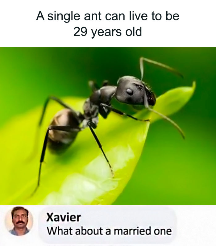 This Instagram Account Is The Ultimate Place For Parent Humor, Here Are 50 Of The Funniest Posts