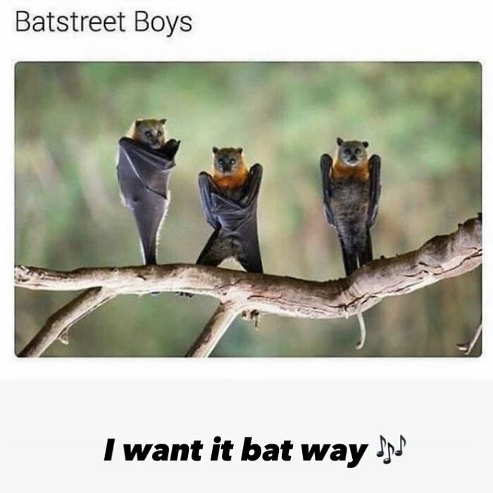 This Instagram Account Is The Ultimate Place For Parent Humor, Here Are 50 Of The Funniest Posts