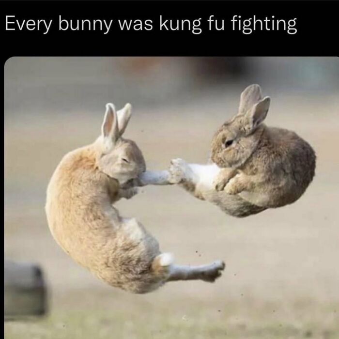 This Instagram Account Is The Ultimate Place For Parent Humor, Here Are 50 Of The Funniest Posts