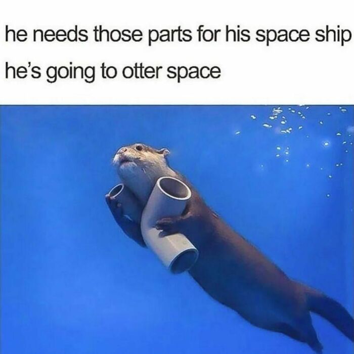 This Instagram Account Is The Ultimate Place For Parent Humor, Here Are 50 Of The Funniest Posts