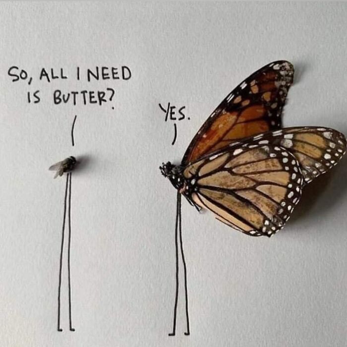 This Instagram Account Is The Ultimate Place For Parent Humor, Here Are 50 Of The Funniest Posts