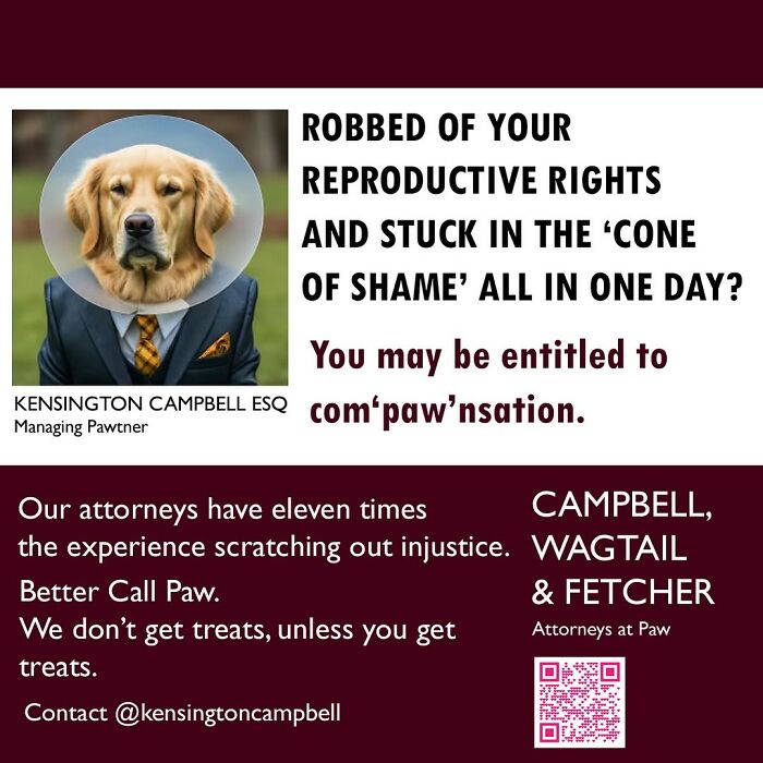 A Series Of Parody Ads For All The Dogs Seeking Attorney Services By Kensington Campbell (26 New Pics) A Series Of Parody Ads For All The Dogs Seeking Attorney Services By Kensington Campbell (26 New Pics)