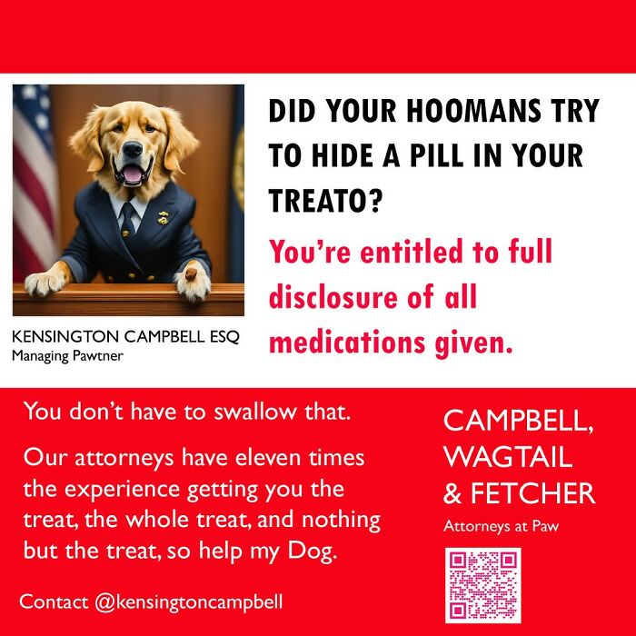 A Series Of Parody Ads For All The Dogs Seeking Attorney Services By Kensington Campbell (26 New Pics) A Series Of Parody Ads For All The Dogs Seeking Attorney Services By Kensington Campbell (26 New Pics)