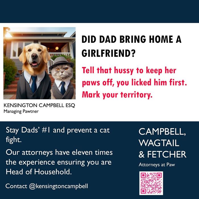 A Series Of Parody Ads For All The Dogs Seeking Attorney Services By Kensington Campbell (26 New Pics) A Series Of Parody Ads For All The Dogs Seeking Attorney Services By Kensington Campbell (26 New Pics)
