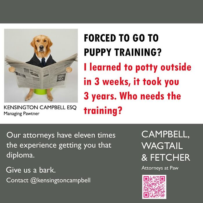 A Series Of Parody Ads For All The Dogs Seeking Attorney Services By Kensington Campbell (26 New Pics) A Series Of Parody Ads For All The Dogs Seeking Attorney Services By Kensington Campbell (26 New Pics)