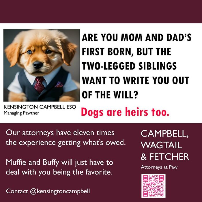 A Series Of Parody Ads For All The Dogs Seeking Attorney Services By Kensington Campbell (26 New Pics) A Series Of Parody Ads For All The Dogs Seeking Attorney Services By Kensington Campbell (26 New Pics)