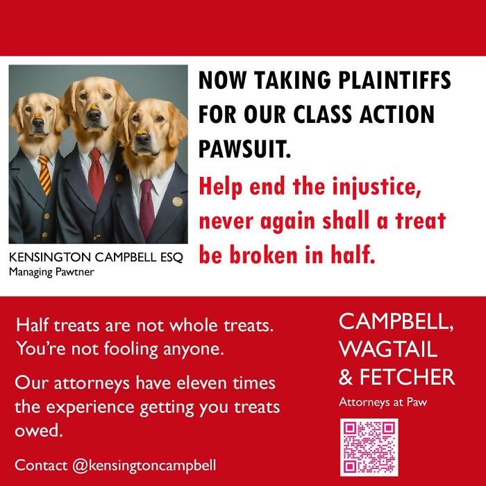 A Series Of Parody Ads For All The Dogs Seeking Attorney Services By Kensington Campbell (26 New Pics) A Series Of Parody Ads For All The Dogs Seeking Attorney Services By Kensington Campbell (26 New Pics)