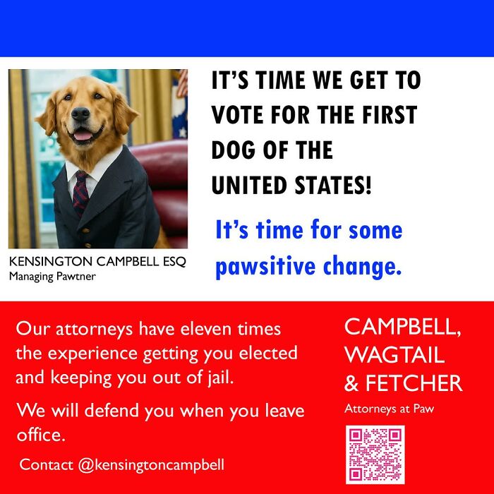 A Series Of Parody Ads For All The Dogs Seeking Attorney Services By Kensington Campbell (26 New Pics) A Series Of Parody Ads For All The Dogs Seeking Attorney Services By Kensington Campbell (26 New Pics)