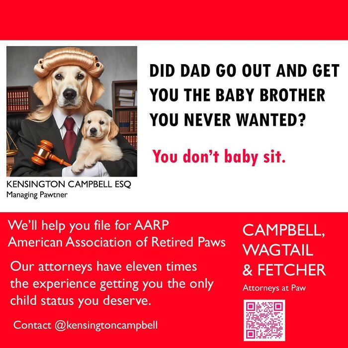 A Series Of Parody Ads For All The Dogs Seeking Attorney Services By Kensington Campbell (26 New Pics) A Series Of Parody Ads For All The Dogs Seeking Attorney Services By Kensington Campbell (26 New Pics)