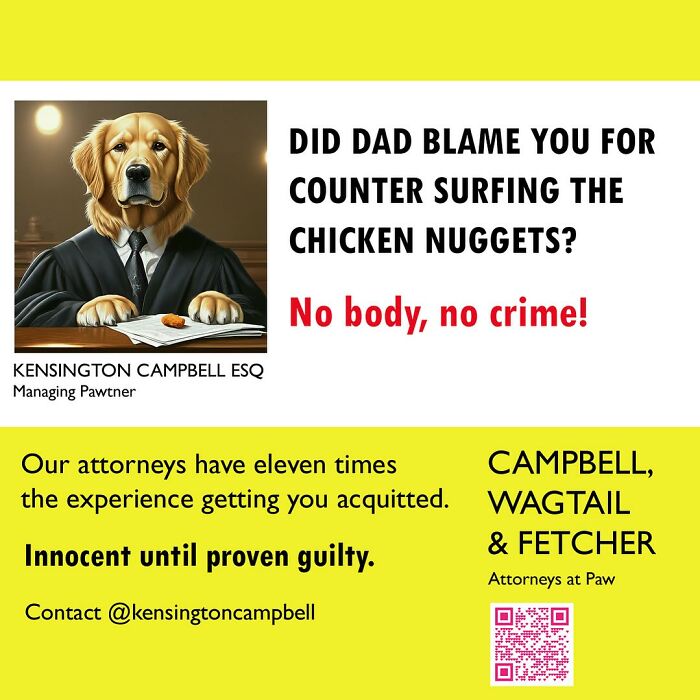 A Series Of Parody Ads For All The Dogs Seeking Attorney Services By Kensington Campbell (26 New Pics) A Series Of Parody Ads For All The Dogs Seeking Attorney Services By Kensington Campbell (26 New Pics)
