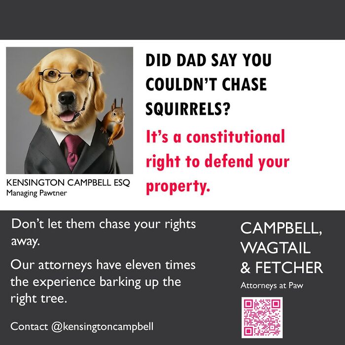 A Series Of Parody Ads For All The Dogs Seeking Attorney Services By Kensington Campbell (26 New Pics) A Series Of Parody Ads For All The Dogs Seeking Attorney Services By Kensington Campbell (26 New Pics)