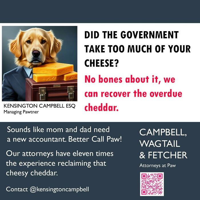A Series Of Parody Ads For All The Dogs Seeking Attorney Services By Kensington Campbell (26 New Pics) A Series Of Parody Ads For All The Dogs Seeking Attorney Services By Kensington Campbell (26 New Pics)