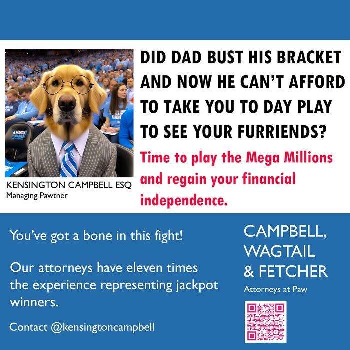 A Series Of Parody Ads For All The Dogs Seeking Attorney Services By Kensington Campbell (26 New Pics) A Series Of Parody Ads For All The Dogs Seeking Attorney Services By Kensington Campbell (26 New Pics)