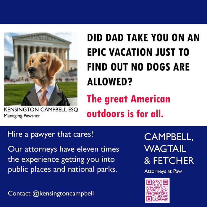 A Series Of Parody Ads For All The Dogs Seeking Attorney Services By Kensington Campbell (26 New Pics) A Series Of Parody Ads For All The Dogs Seeking Attorney Services By Kensington Campbell (26 New Pics)