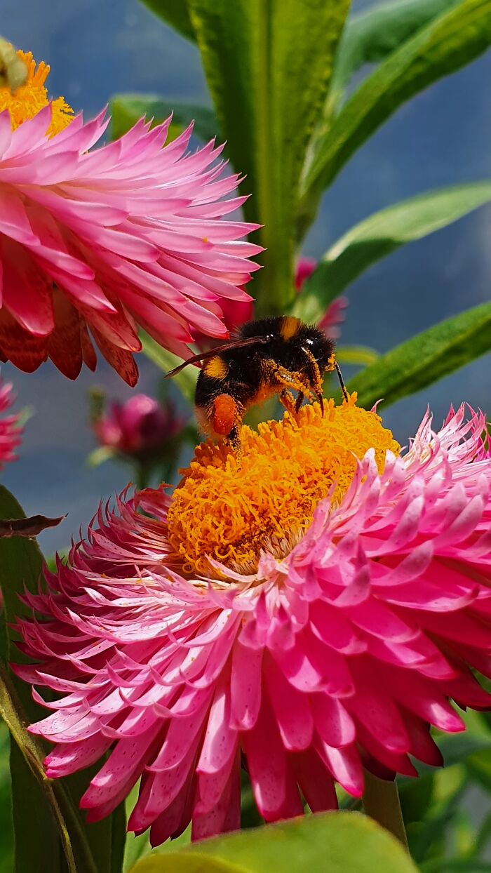 Hey Pandas, What’s The Most Stunning Photo You’ve Ever Taken? (Closed)