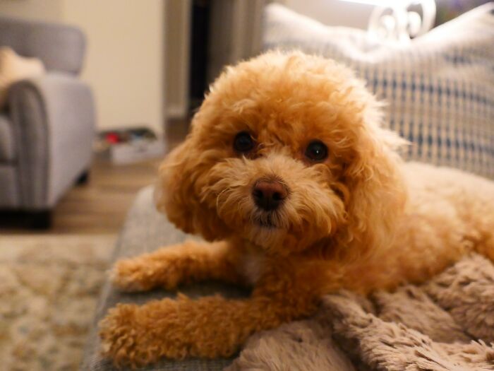 Hey Pandas, What’s The Most Stunning Photo You’ve Ever Taken? (Closed)