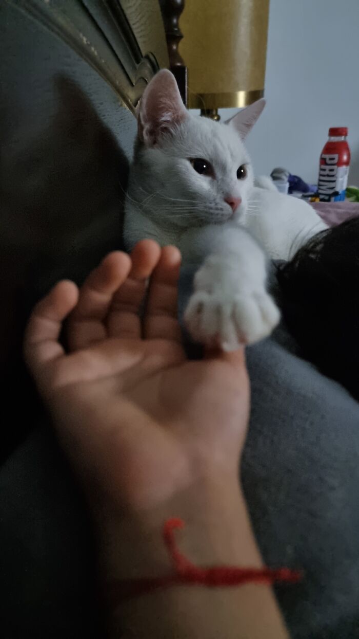 Hey Pandas, What’s The Most Stunning Photo You’ve Ever Taken? (Closed)