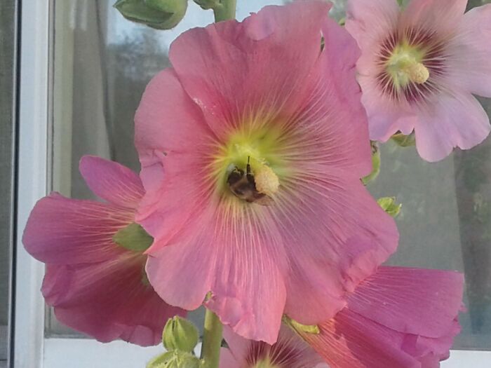 Hey Pandas, What’s The Most Stunning Photo You’ve Ever Taken? (Closed)