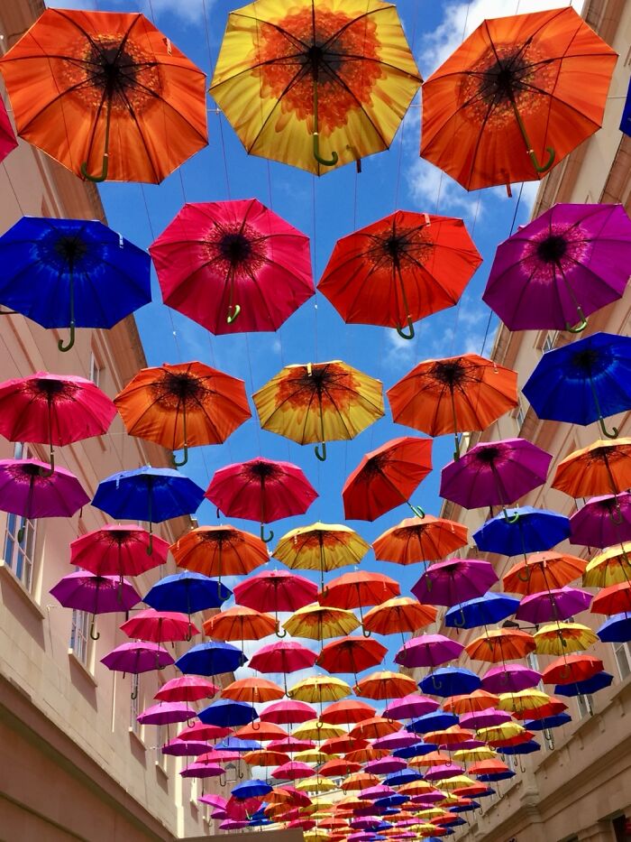 Hey Pandas, What’s The Most Stunning Photo You’ve Ever Taken? (Closed)