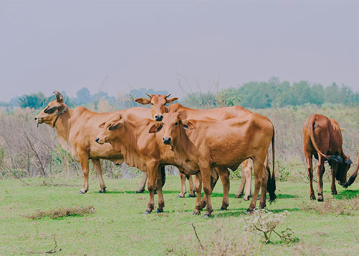 &ldquo;Friend Died Aged 32&rdquo;: 50 Everyday Things Most People Don&rsquo;t Realize Are Deadly