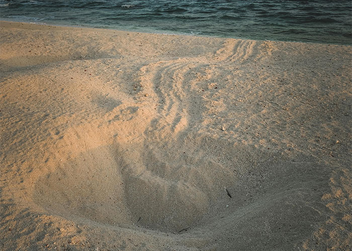 &ldquo;Friend Died Aged 32&rdquo;: 50 Everyday Things Most People Don&rsquo;t Realize Are Deadly