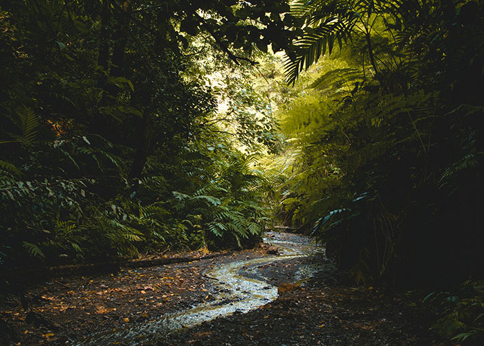 &ldquo;Friend Died Aged 32&rdquo;: 50 Everyday Things Most People Don&rsquo;t Realize Are Deadly