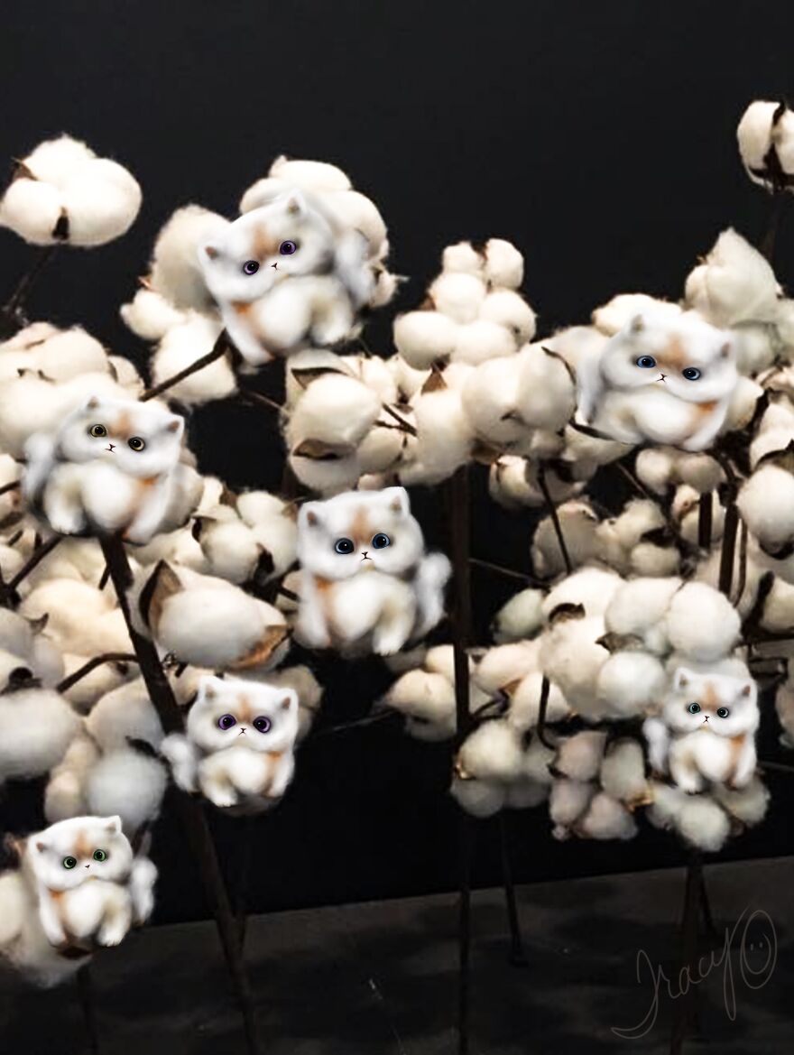 I Make Cute Art By Adding Drawn Animals To Random Photos (39 Pics)